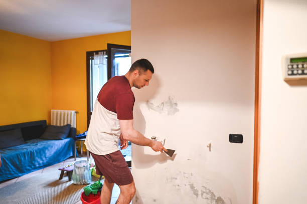 Best Commercial Mold Remediation in Glendale, AZ